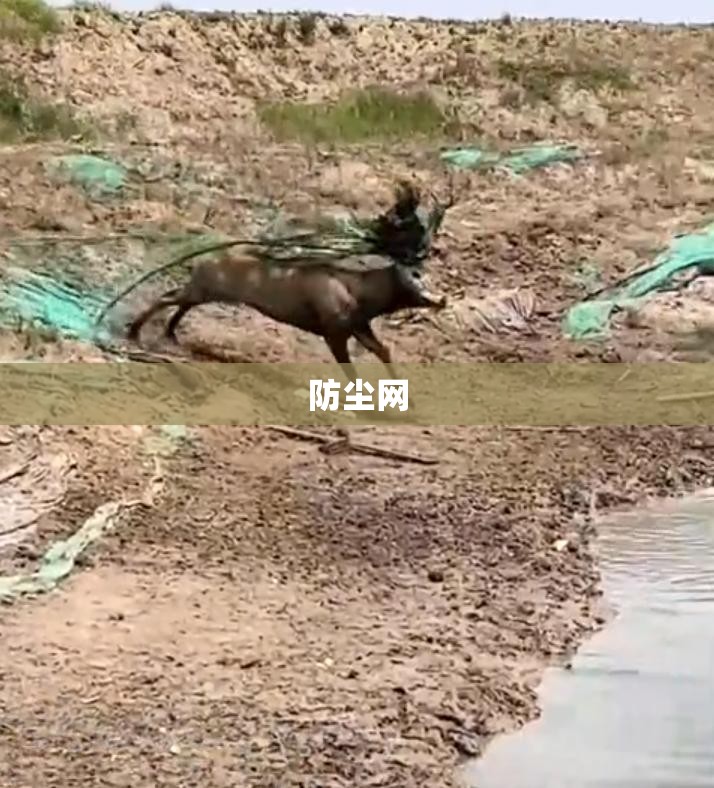 防尘网(防尘网合格证)
