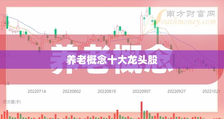 【养老概念前十龙头股,2025养老金前十重仓股】 【养老概念前十龙头股,2025养老金前十重仓股】