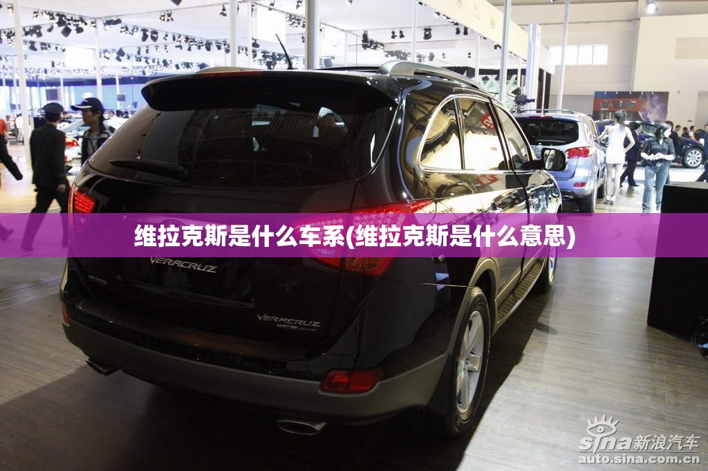 维拉克斯是什么车系(维拉克斯是什么意思)