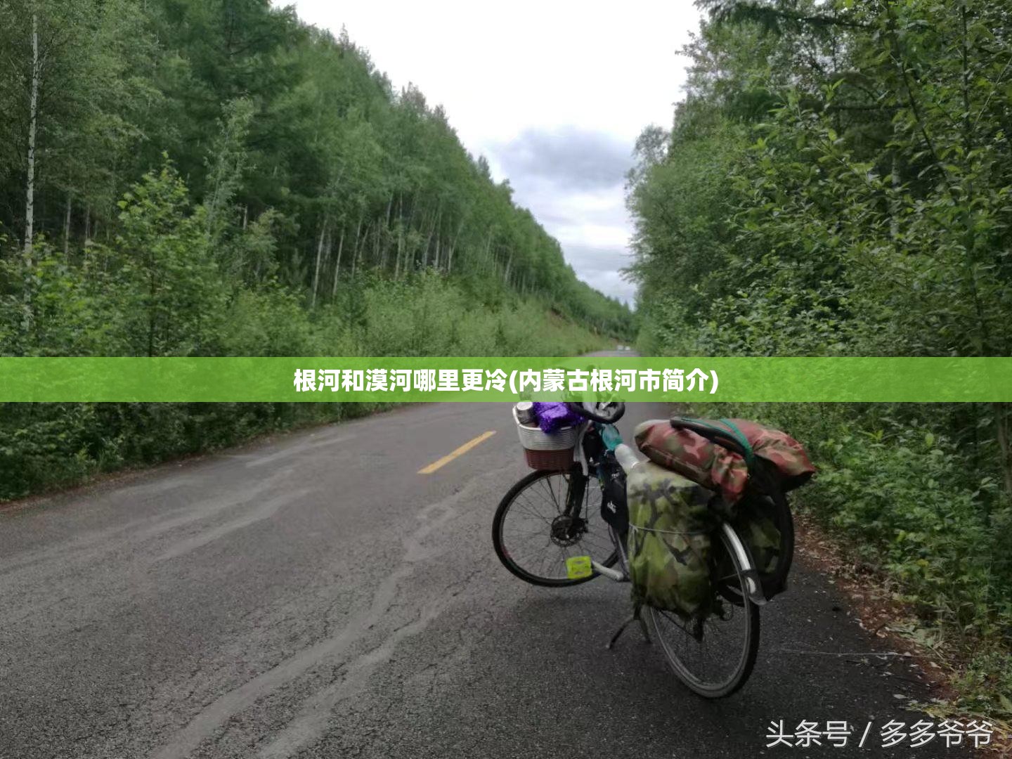 根河和漠河哪里更冷(内蒙古根河市简介) 根河和漠河哪里更冷(内蒙古根河市简介)