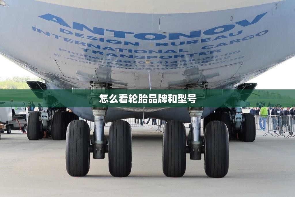 【怎么看轮胎品牌和型号,怎么看轮胎大小型号】 【怎么看轮胎品牌和型号,怎么看轮胎大小型号】