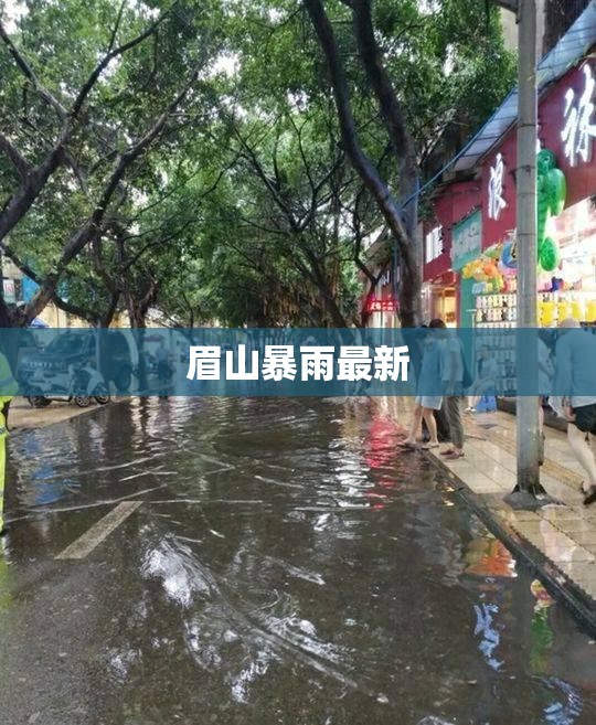 眉山暴雨最新/眉山暴雨哪里最危险