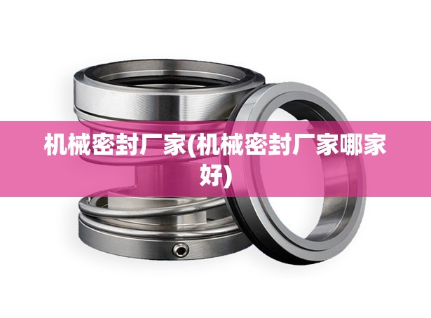 机械密封厂家(机械密封厂家哪家好) 机械密封厂家(机械密封厂家哪家好)