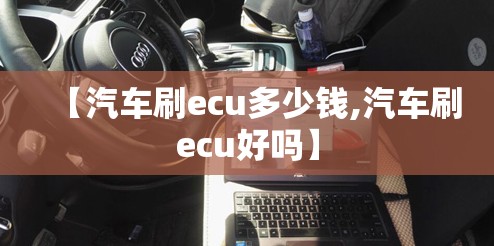 【汽车刷ecu多少钱,汽车刷ecu好吗】