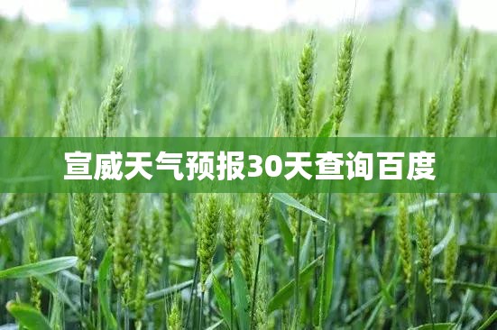 宣威天气预报30天查询百度(宣威市天气预报30天查询表格)