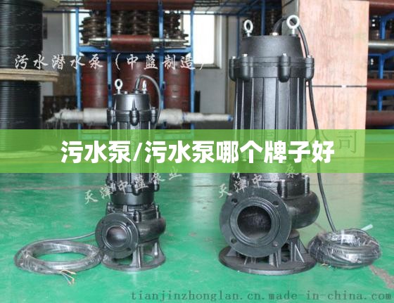污水泵/污水泵哪个牌子好