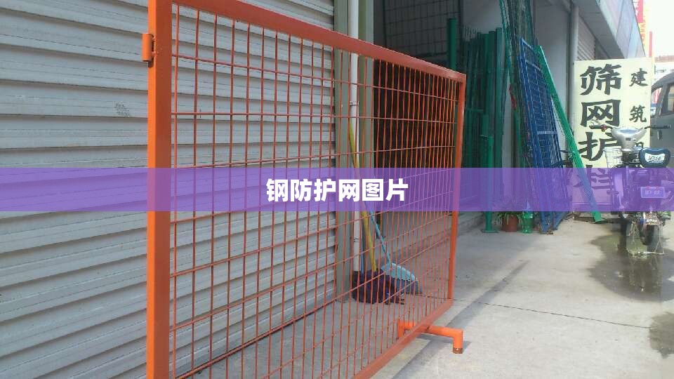 钢防护网图片(钢丝防护网图片) 钢防护网图片(钢丝防护网图片)