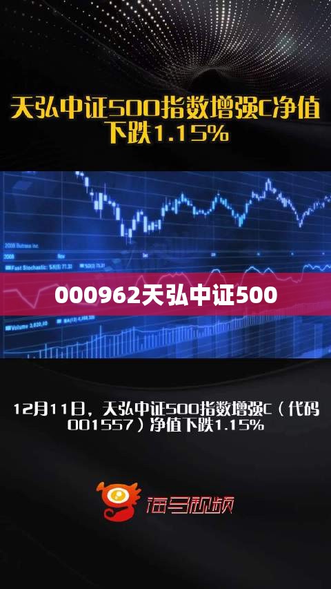 【000962天弘中证500,000961天弘基金】