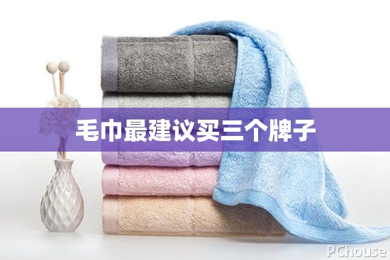 【毛巾最建议买三个牌子,什么牌毛巾耐用质量好】