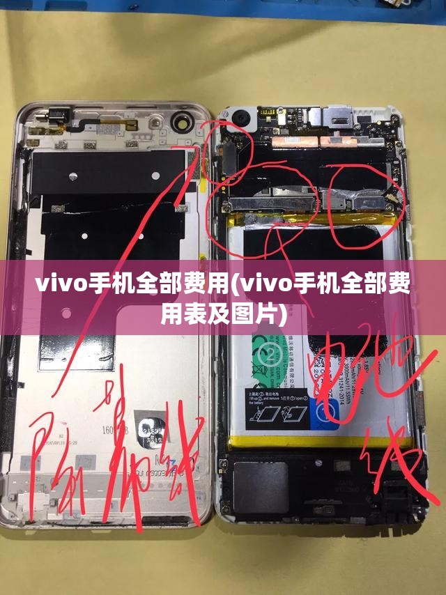 vivo手机全部费用(vivo手机全部费用表及图片) vivo手机全部费用(vivo手机全部费用表及图片)
