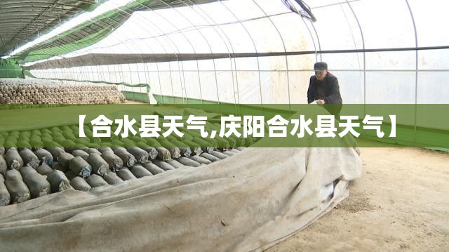 【合水县天气,庆阳合水县天气】