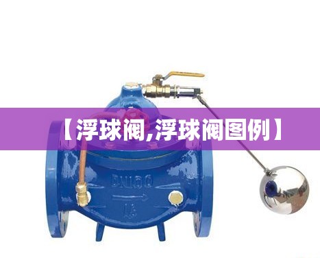 【浮球阀,浮球阀图例】