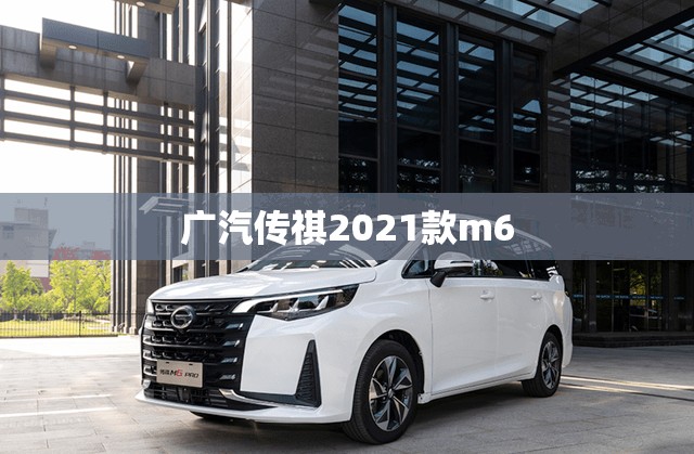 【广汽传祺2021款m6,广汽传祺2021款m8仪表电子指针怎么调】