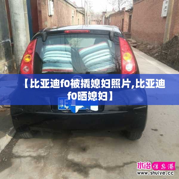 【比亚迪f0被撬媳妇照片,比亚迪f0晒媳妇】
