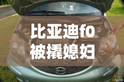 【比亚迪f0被撬媳妇照片,比亚迪f0晒媳妇】