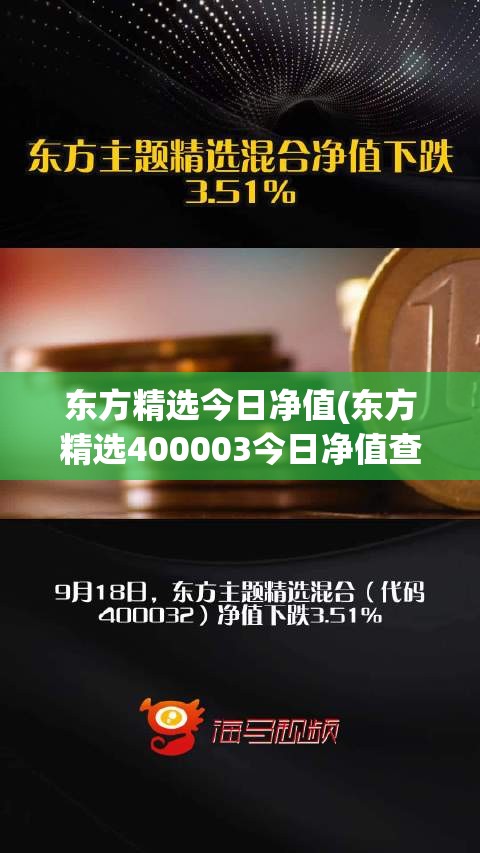 东方精选今日净值(东方精选400003今日净值查询)