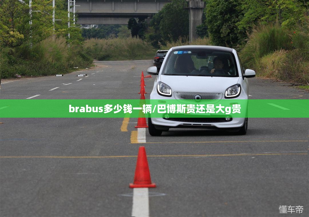 brabus多少钱一辆/巴博斯贵还是大g贵