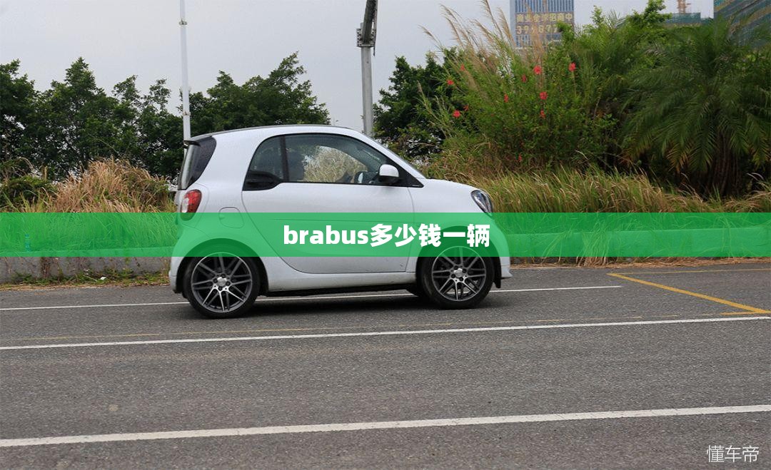 brabus多少钱一辆/巴博斯贵还是大g贵