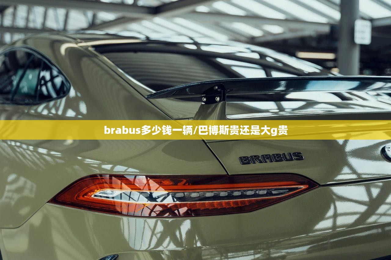 brabus多少钱一辆/巴博斯贵还是大g贵