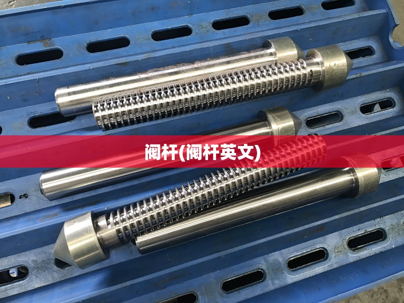 阀杆(阀杆英文) 阀杆(阀杆英文)