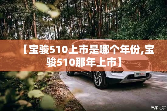 【宝骏510上市是哪个年份,宝骏510那年上市】