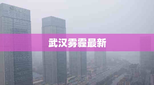 武汉雾霾最新/武汉雾霾最新数据