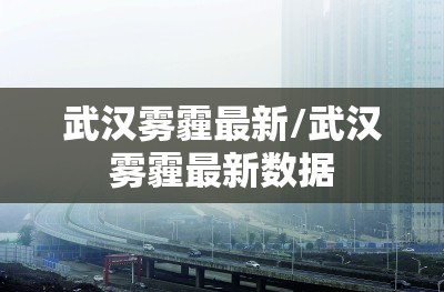武汉雾霾最新/武汉雾霾最新数据