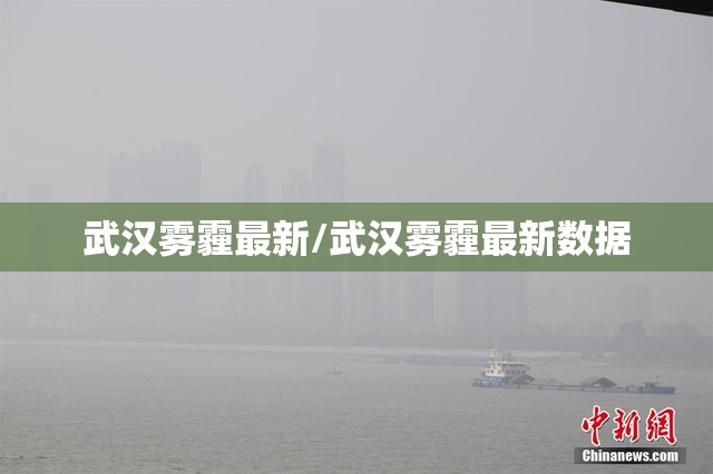 武汉雾霾最新/武汉雾霾最新数据