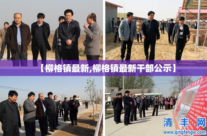 【柳格镇最新,柳格镇最新干部公示】 【柳格镇最新,柳格镇最新干部公示】