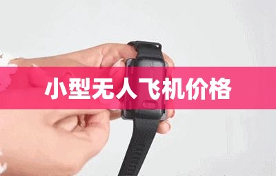 小型无人飞机费用/小型无人运输机费用 小型无人飞机费用/小型无人运输机费用