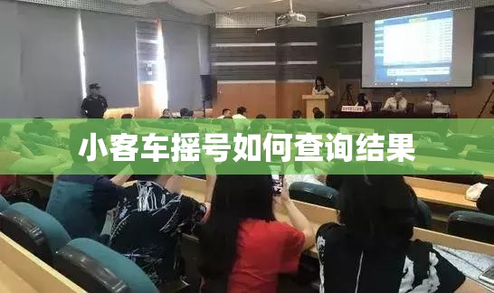 小客车摇号如何查询结果(小客车摇号查询结果入口官方网站) 小客车摇号如何查询结果(小客车摇号查询结果入口官方网站)