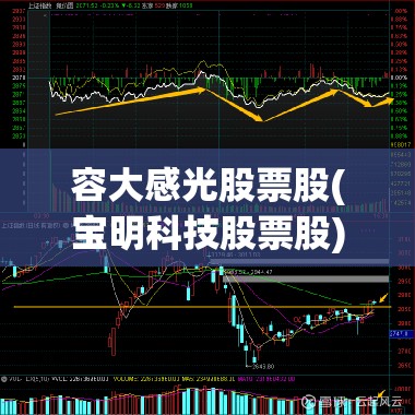 容大感光股票股(宝明科技股票股) 容大感光股票股(宝明科技股票股)