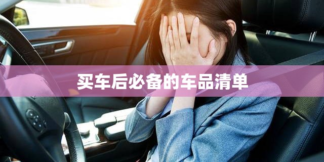 买车后必备的车品清单/买车后必备的车品清单是什么 买车后必备的车品清单/买车后必备的车品清单是什么