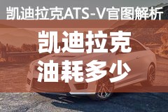 凯迪拉克油耗多少钱一公里(奥迪a420t油耗百公里多少钱) 凯迪拉克油耗多少钱一公里(奥迪a420t油耗百公里多少钱)