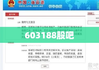 603188股吧(603983股吧)