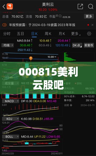 000815美利云股吧(000815美利云股吧东方财富)