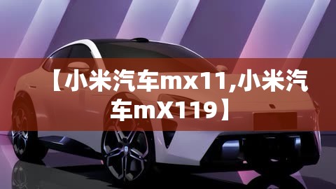 【小米汽车mx11,小米汽车mX119】