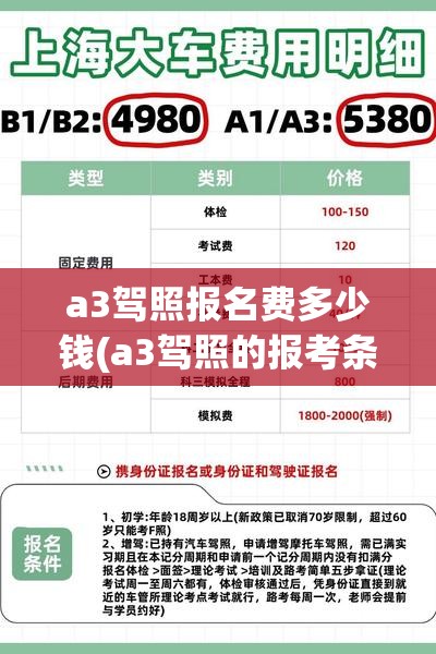 a3驾照报名费多少钱(a3驾照的报考条件及费用)