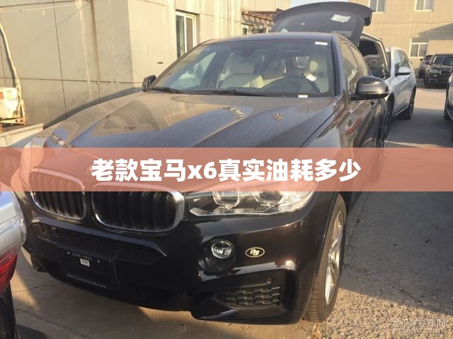 老款宝马x6真实油耗多少/老款宝马x6真实油耗多少钱