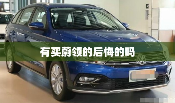 有买蔚领的后悔的吗(买蔚领的10大忠告)