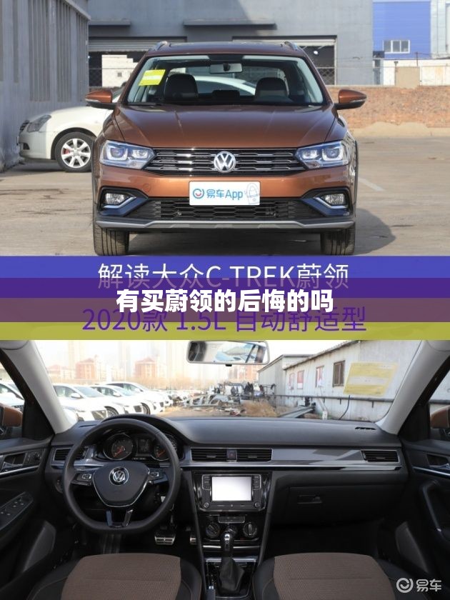 有买蔚领的后悔的吗(买蔚领的10大忠告) 有买蔚领的后悔的吗(买蔚领的10大忠告)